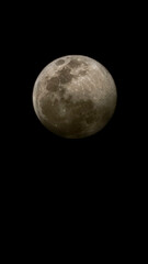 Naklejka premium Vida de Ivan