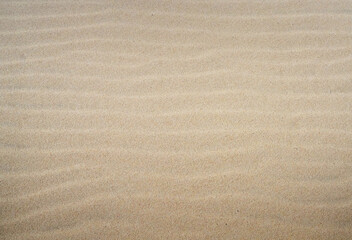 texture of sand