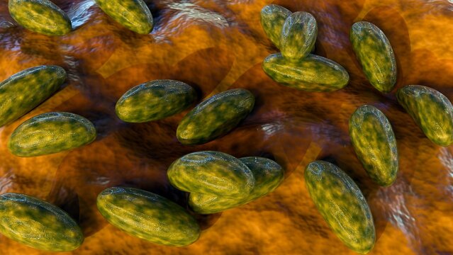 3d rendering of Yersinia pestis, it is a bacterium that causes the deadly disease plague,  including the Plague of Justinian and the Black Death