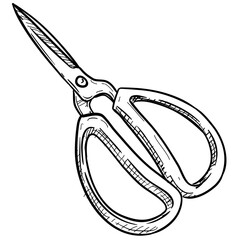 scissors handdrawn illustration