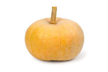 Round yellow pumpkin on a white background. Pumpkin isolated side view.