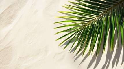 Obraz premium Top view of a tropical palm leaf casting a soft shadow on smooth sandy beach with ample copy space, evoking a serene coastal vibe