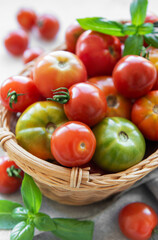 Fresh organic tomatoes