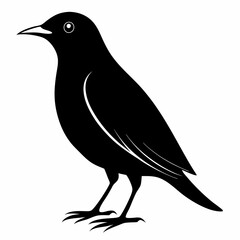 Starling Black silhouette