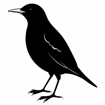 recommend clip art: Starling Black silhouette