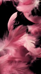Delicate pink feathers floating against dark