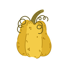 Orange pumpkin vector icon. Colorful gourd with curly stem. Festive garden vegetable for Halloween Jack-O-Lantern, Thanksgiving, holiday, fall party decoration. Flat cartoon doodle, hand drawn clipart