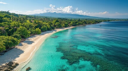 Aerial view of the beach and clear blue water, beautiful scenery, green trees, tropical landscape, sunlight shining on white sand, peaceful atmosphere, exotic travel destination