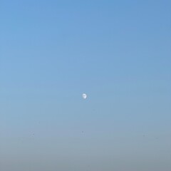 Sunset, sea, bubble, city, fun daily life