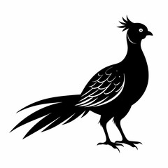 Pheasant Black silhouette