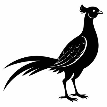 recommend clip art: Pheasant Black silhouette