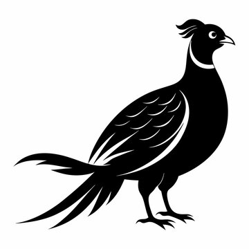 recommend clip art: Pheasant Black silhouette