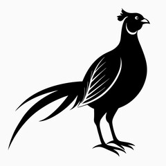 Pheasant Black silhouette