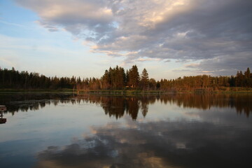 Calm Waters, Elk Island National Park, Alberta