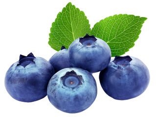 Obraz premium blueberries on a white background