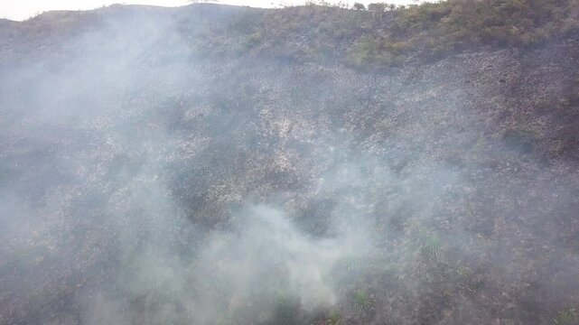 Smoke rising from vegetation fire on mountain. Aerial descendant