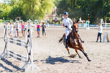 Young rider competes in equestrian show jumping at a sunny outdoor arena