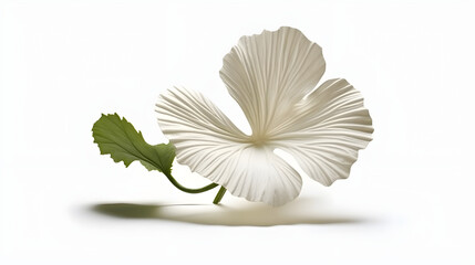 flower isolated floral nature plant spring leaf background summer generative Ai.