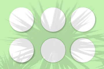 Natural light casts shadows from the palm tree on 6 round sheets of white textured paper lying on a green textured background. Mockup