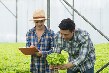 Farm owner talking with worker and checking growth of lettuce in greenhouse.