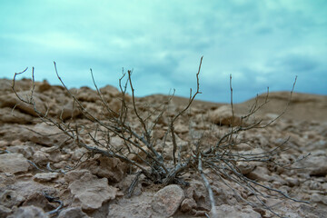 Here is a real waterless rocky desert in which Jesus suffered for 40 days. Near East