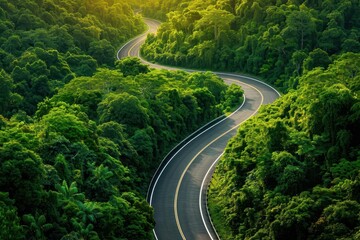 A winding road through lush green forests, showcasing the beauty of nature and inviting exploration into serene landscapes.
