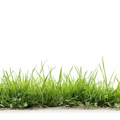 Fototapeta premium Grass Patch Isolated
