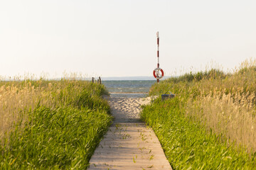 Wooden footpath amidst plants against clear sky
