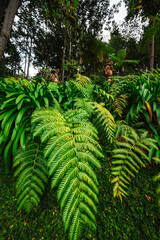 Monte Palace, Tropical Garden with Waterfalls, Lakes and traditional buildings above the city of Funchal