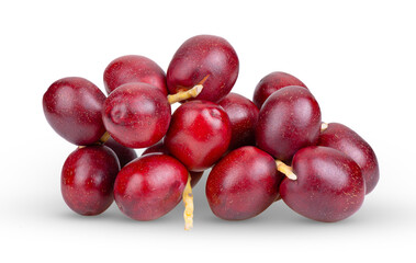 date palm isolated on transparent png