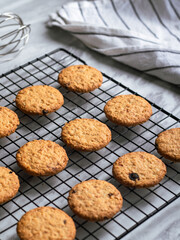 Freshly baked oatmeal cookies cooling on a black wire rack, with a light background and soft natural lighting. The cookies are golden brown with hints of raisins and a crispy texture, creating a cozy