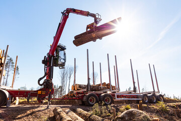 Mobile crane loading logs on truck under clear sky