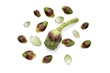 Artichoke petals on white background.