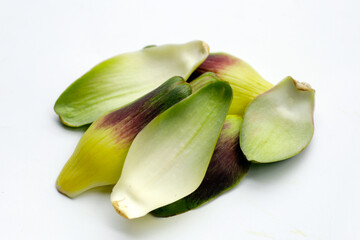 Artichoke petals on white background.