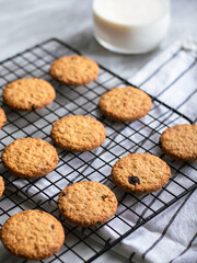 Freshly baked oatmeal cookies cooling on a black wire rack, with a light background and soft natural lighting. The cookies are golden brown with hints of raisins and a crispy texture, creating a cozy
