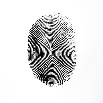 recommend clip art: A fingerprint on a transparent background