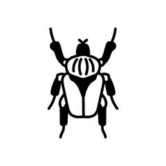 Dried Insect Glyph Icon, Vector illustration