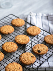 Freshly baked oatmeal cookies cooling on a black wire rack, with a light background and soft natural lighting. The cookies are golden brown with hints of raisins and a crispy texture, creating a cozy