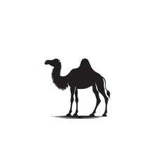 Fototapeta premium Camel silhouette. Camel logo, icon, sign. Camel silhouette vector illustration black and white.