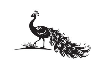
Peacock silhouette vector illustration, Peacock silhouette vector , Peacock silhouette , Peacock silhouette PNG. 