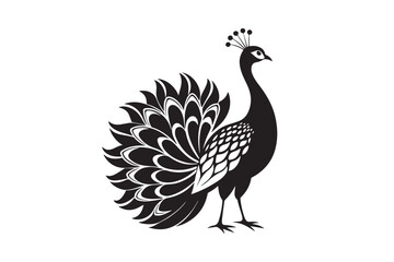 
Peacock silhouette vector illustration, Peacock silhouette vector , Peacock silhouette , Peacock silhouette PNG. 