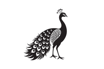 
Peacock silhouette vector illustration, Peacock silhouette vector , Peacock silhouette , Peacock silhouette PNG. 