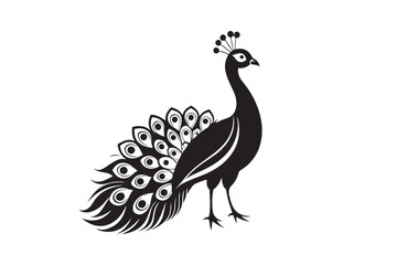 
Peacock silhouette vector illustration, Peacock silhouette vector , Peacock silhouette , Peacock silhouette PNG. 