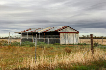 Old, abandoned tin shed in an overgrown field, central wheatbelt, Western Australia.