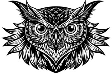 black and white owl