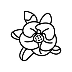 Chaenomeles Outline Icon, Vector illustration