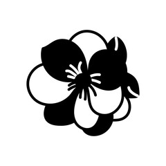 Hellebore Glyph Icon, Vector illustration