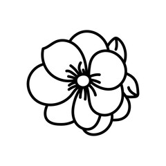 Hellebore Outline Icon, Vector illustration