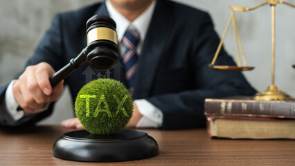 Tax Law" displayed on a clean, professional background with financial documents. Ideal for content related to tax law, financial obligations, and property issues. 