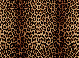 leopard pattern seamless fashionable design for print clothes, paper, fabric. leopard spots